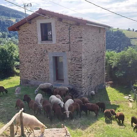 Renove Avec Terrasse Et Animaux Acceptes A - Fr-1-496-324 Landsted Saint-Chamond