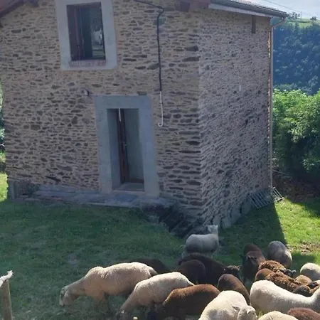 Renove Avec Terrasse Et Animaux Acceptes A - Fr-1-496-324 Landsted *